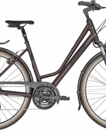 Bergamont Horizon Amsterdam 2022 – Komfortabel Trekkingcykel